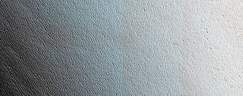 Terrain Sample