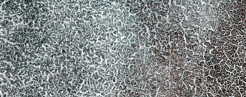 Terrain Sample