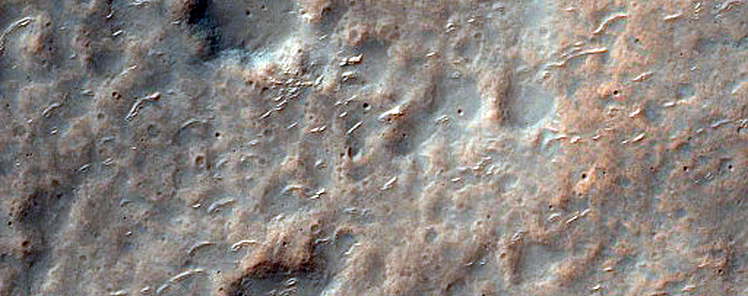 Terrain Sample in Tyrrhenus Mons