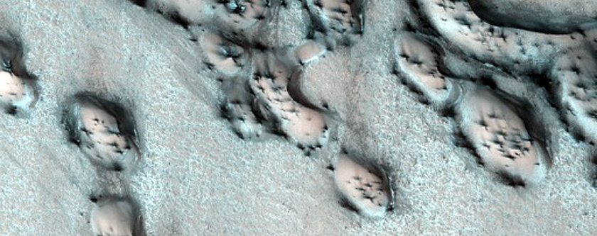 Polar Dunes Monitoring