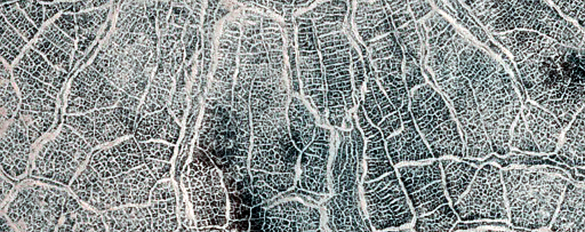 High-Latitude Northern Frost Enhanced Polygons