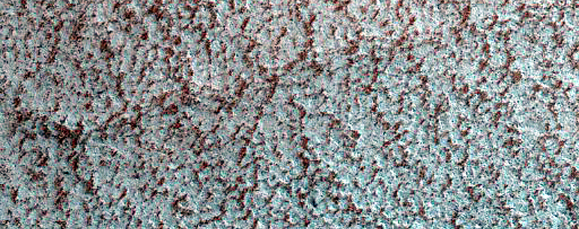 Terrain Sample