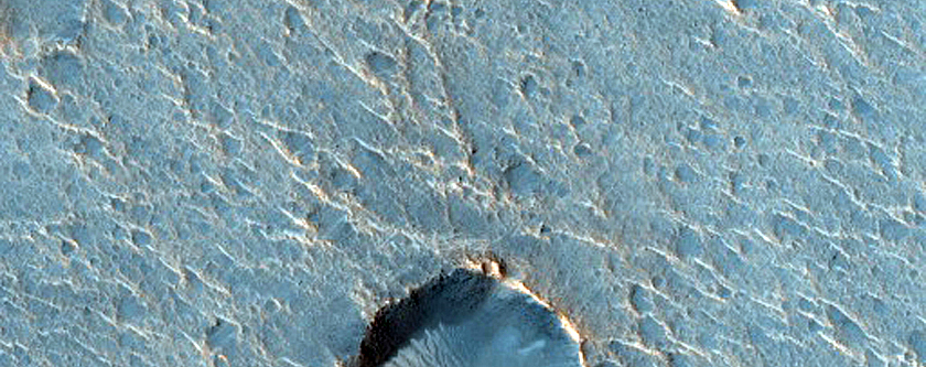 Terrain Sample in Chryse Planitia
