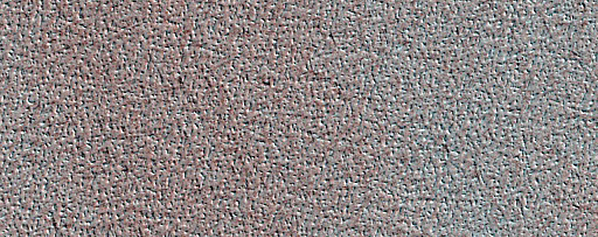 Terrain Sample