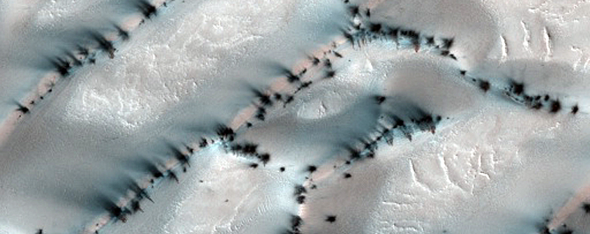 Terrain Sample