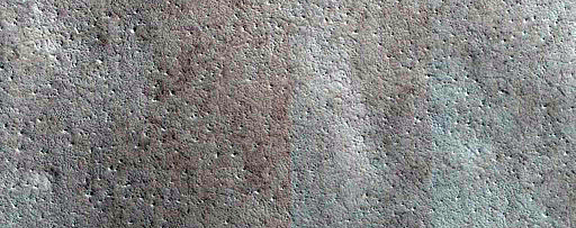 Fringe of Perennial Ice