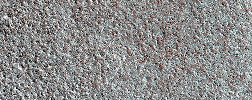 Terrain Sample