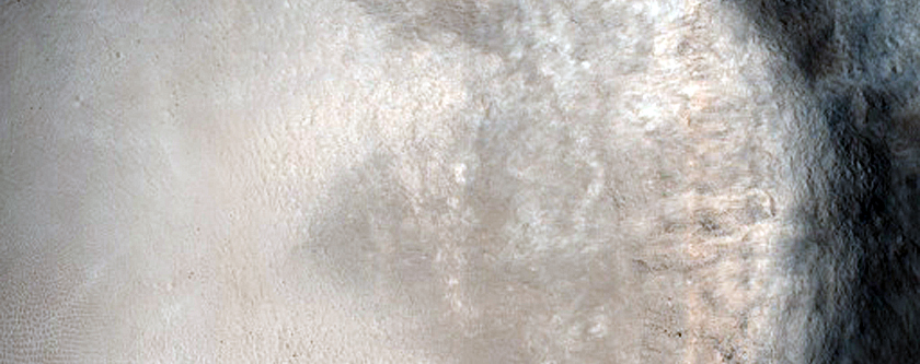 Terrain Sample