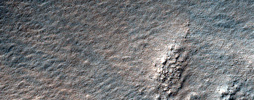 Terrain Sample