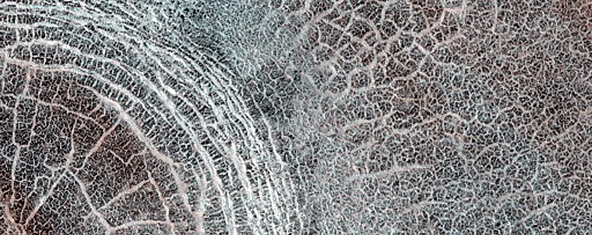 Terrain Sample