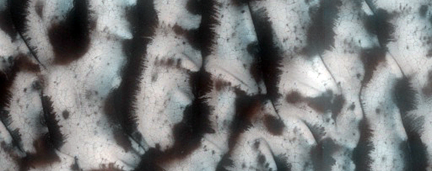 Dune Monitoring in Lomonosov Crater