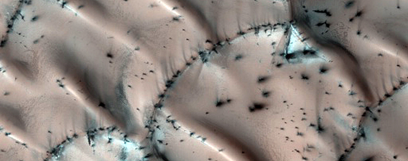 Polar Crater with Dunes and Summer Ice