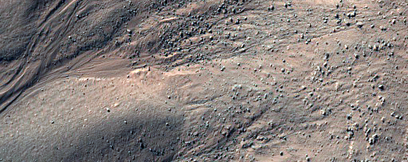 Gullies and Ridges near Argyre Planitia