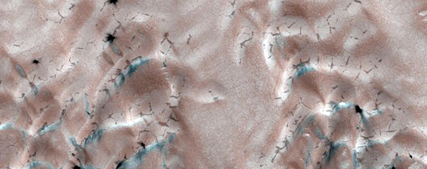 Terrain Sample