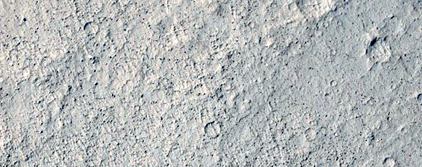 Terrain Sample