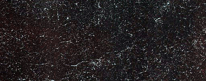 Terrain Sample