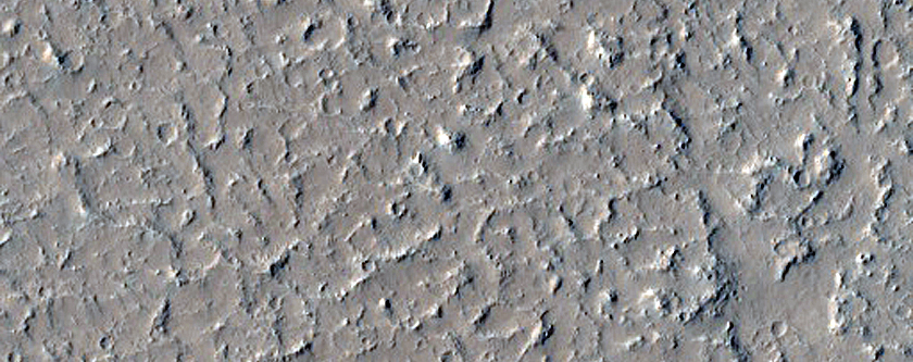 Terrain Sample in Amazonis Planitia