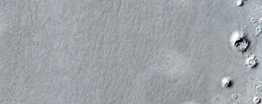 Rootless Cones in Cerberus Palus