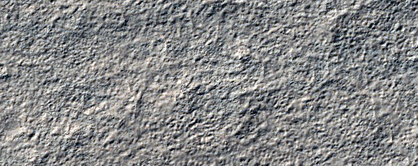 Multiple Ridges with Different Morphology