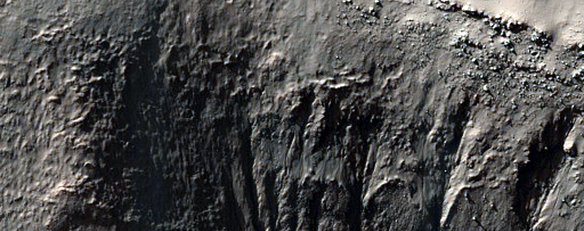 Gully Monitoring