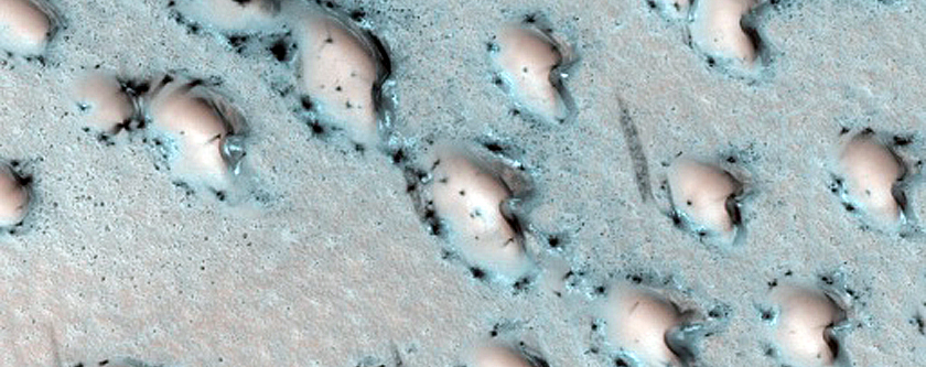 Terrain Sample