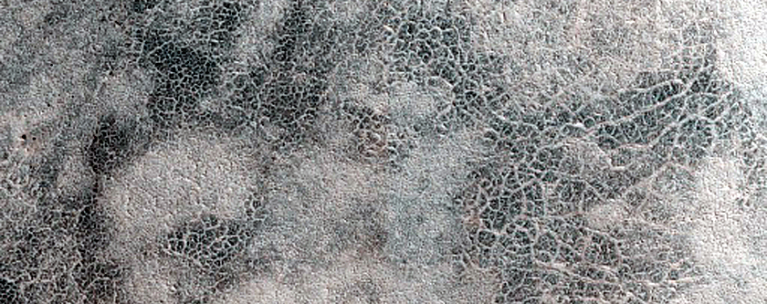 Terrain Sample