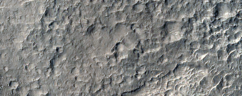 Terrain Sample