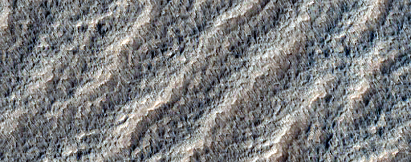 Candidate Recent Impact Site