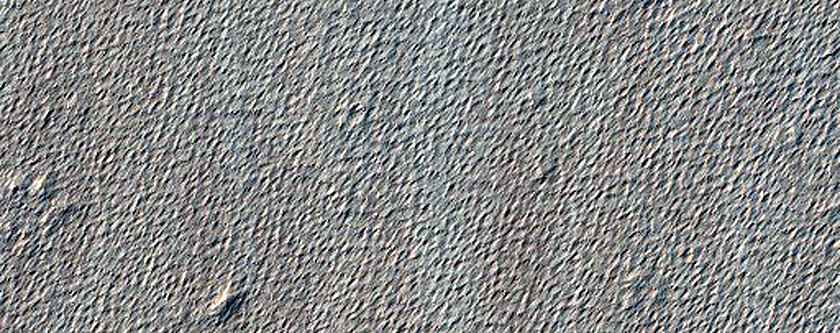 Terrain Sample