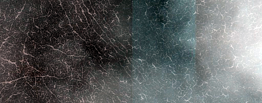 Terrain Sample
