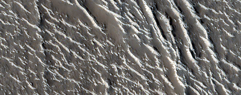 Groups of Ridges in Granicus Valles