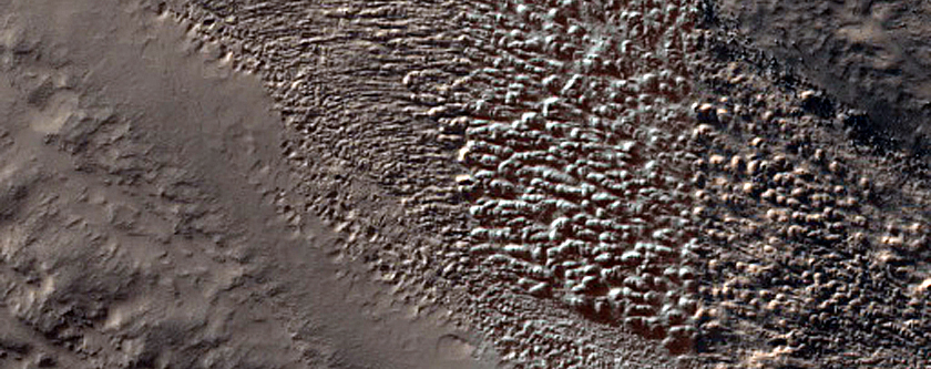 Terrain Sample