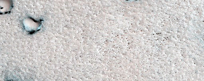 Terrain Sample