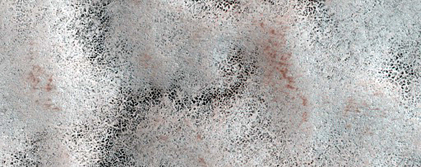 Terrain Sample