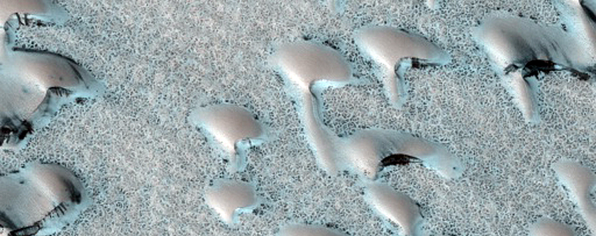 Terrain Sample
