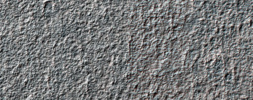 Terrain Sample