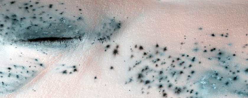 Scandia Cavi Polar Erg Dunes