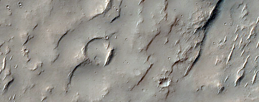 Terrain Sample