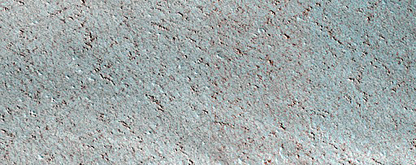 Terrain Sample