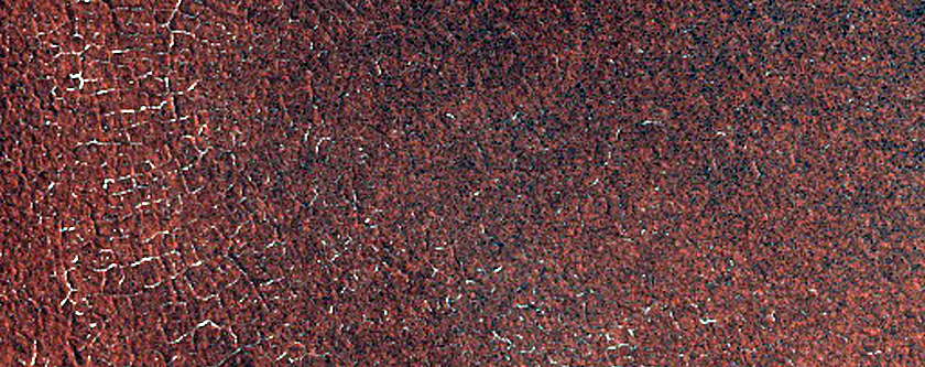 Terrain Sample