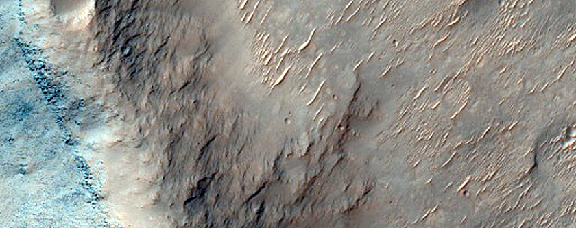 Terrain Sample