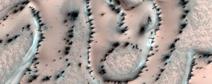 Snowy Dunes