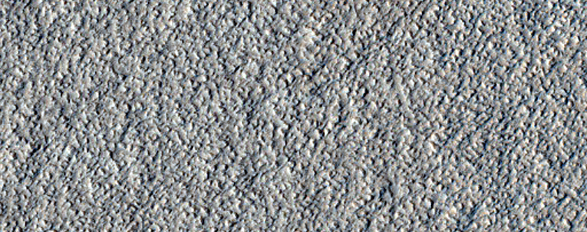 Amazonis Planitia Dust Devil Survey