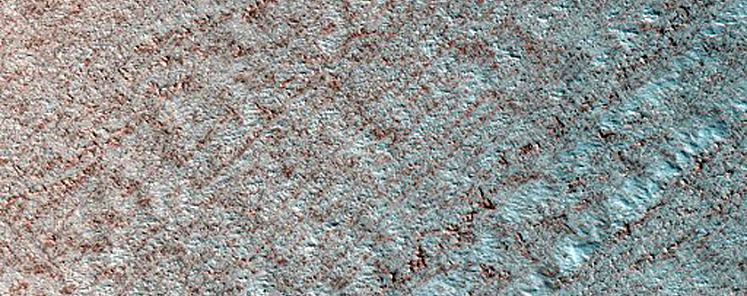 North Polar Sample