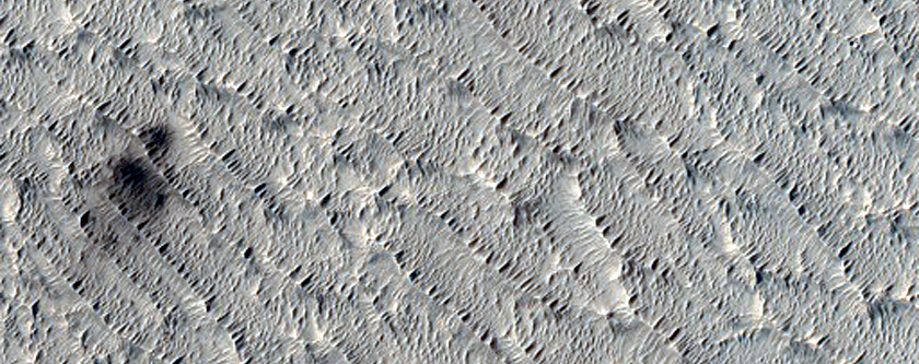 Candidate Recent Impact Site