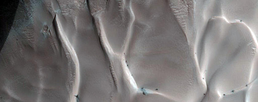 Dunes Dubbed Tleilax