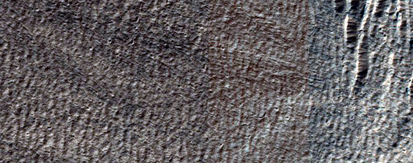 Crater in Hellas Planitia