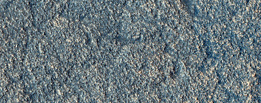 Albedo Monitoring in Phlegra Dorsa