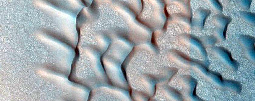 Dune Field Monitoring
