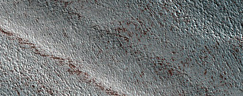 North Polar Terrain Sample